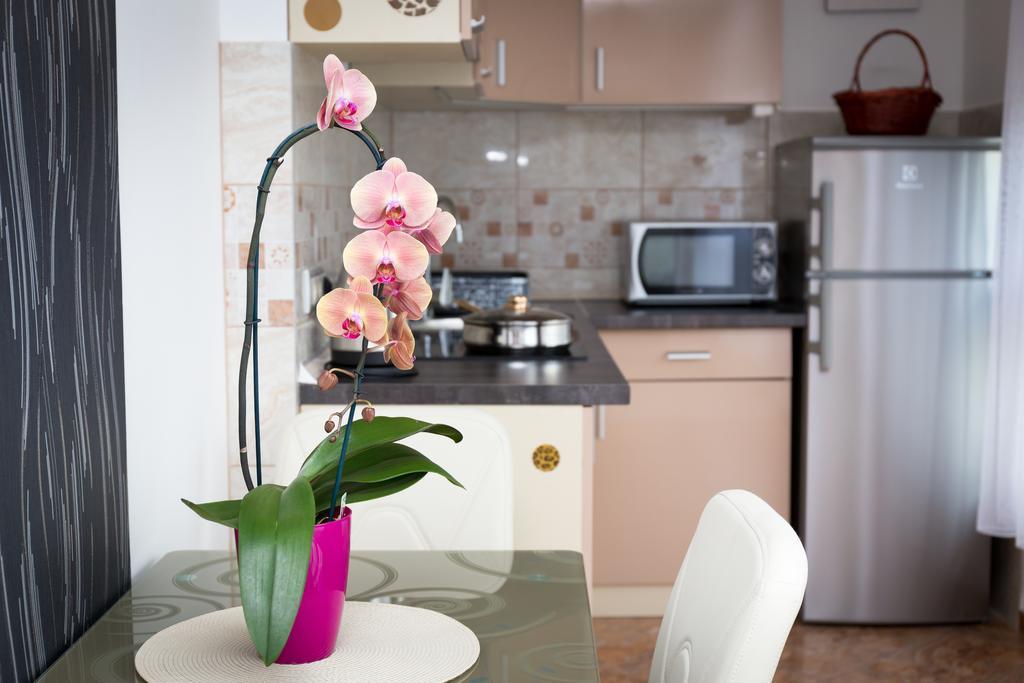 Best Apartments Szeged Bagian luar foto